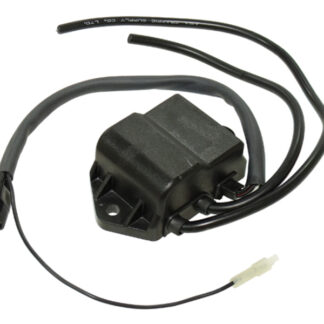 MM-81-263 CDI/puola Polaris
